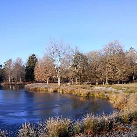 Damwildfarm In Rollerbue Suedschweden Villa Tyringe Екстериор снимка