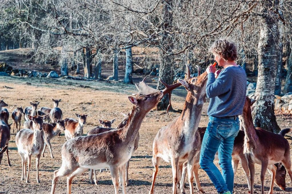 Damwildfarm In Rollerbue Suedschweden Villa Tyringe Екстериор снимка