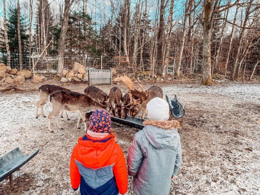 Damwildfarm In Rollerbue Suedschweden Villa Tyringe Екстериор снимка