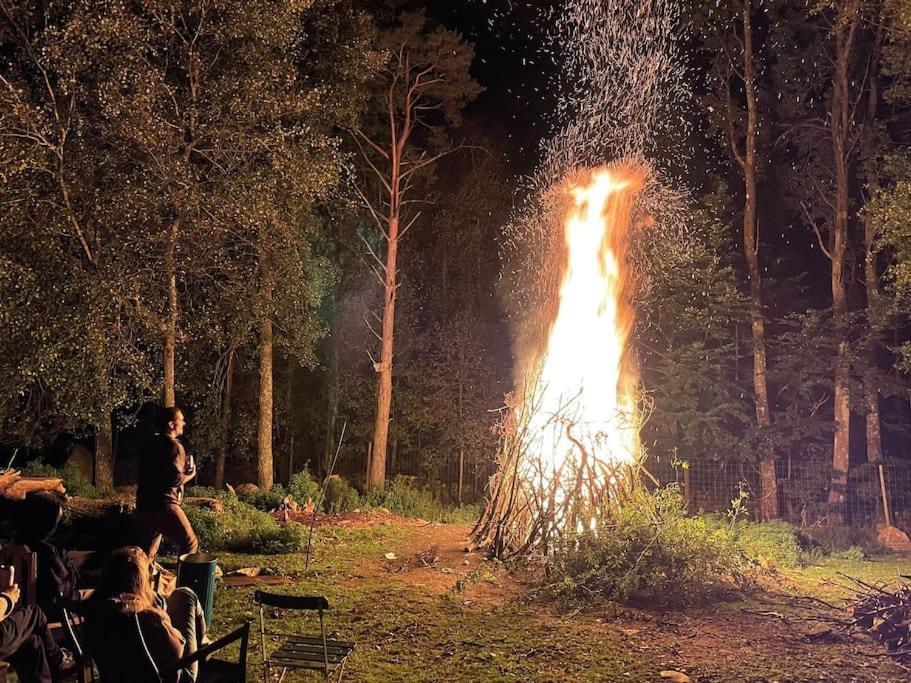 Damwildfarm In Rollerbue Suedschweden Villa Tyringe Екстериор снимка