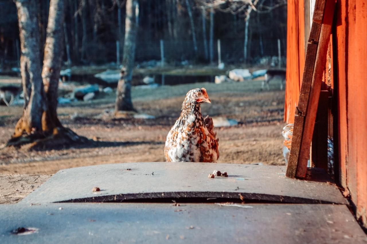Damwildfarm In Rollerbue Suedschweden Villa Tyringe Екстериор снимка