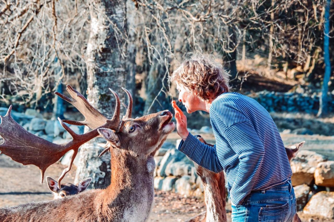 Damwildfarm In Rollerbue Suedschweden Villa Tyringe Екстериор снимка