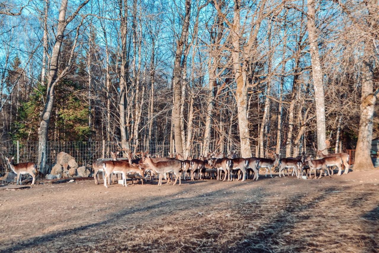 Damwildfarm In Rollerbue Suedschweden Villa Tyringe Екстериор снимка