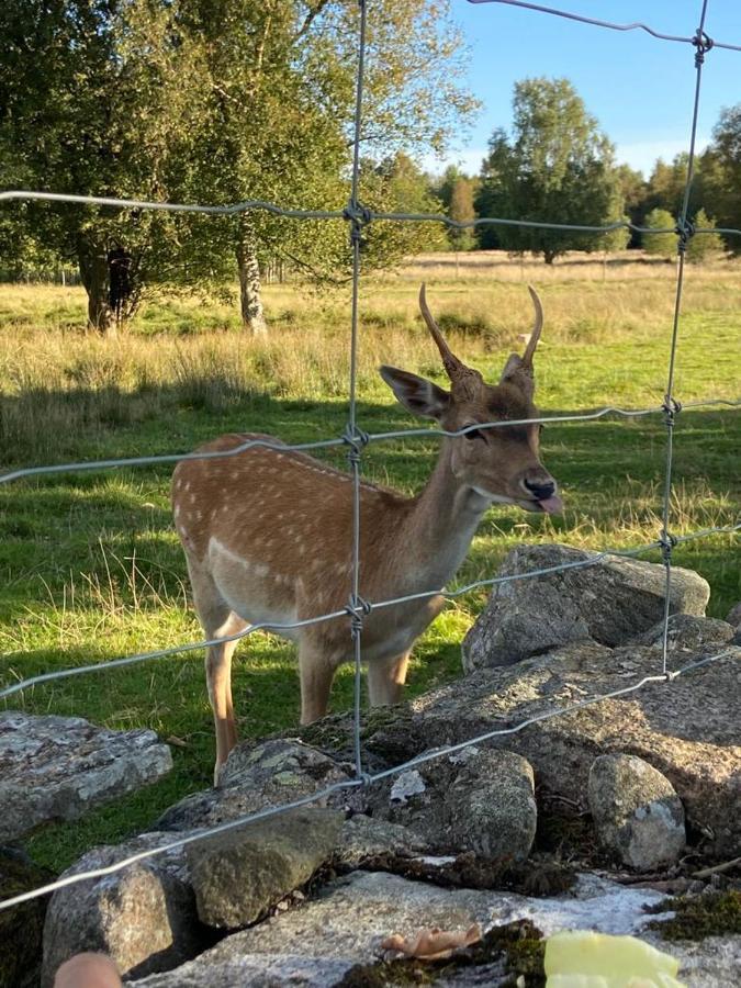 Damwildfarm In Rollerbue Suedschweden Villa Tyringe Екстериор снимка