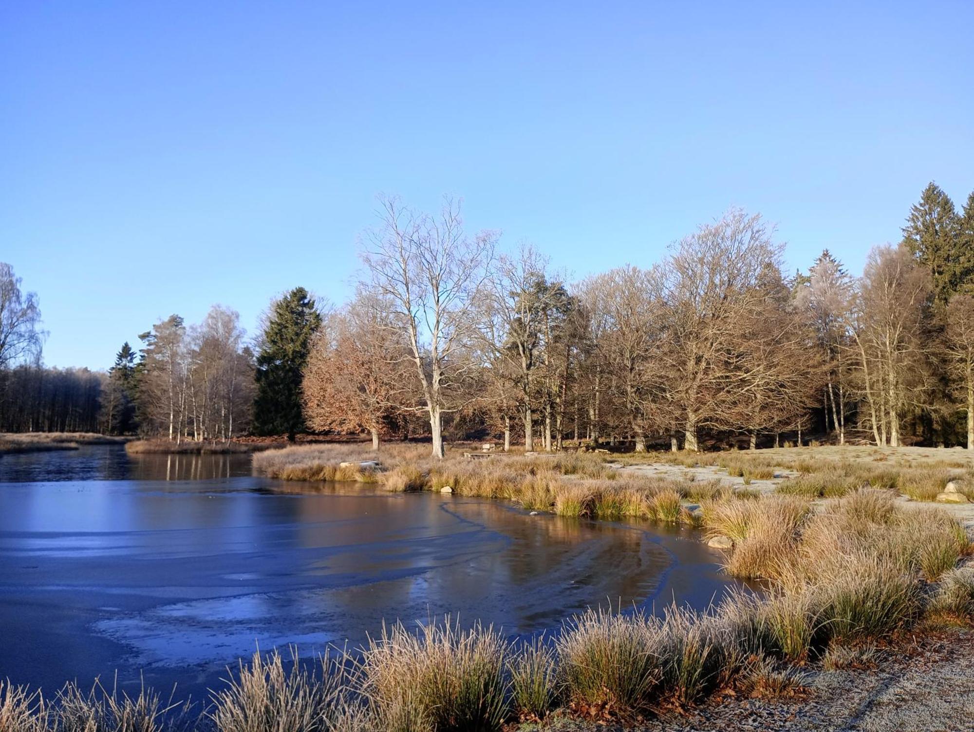 Damwildfarm In Rollerbue Suedschweden Villa Tyringe Екстериор снимка
